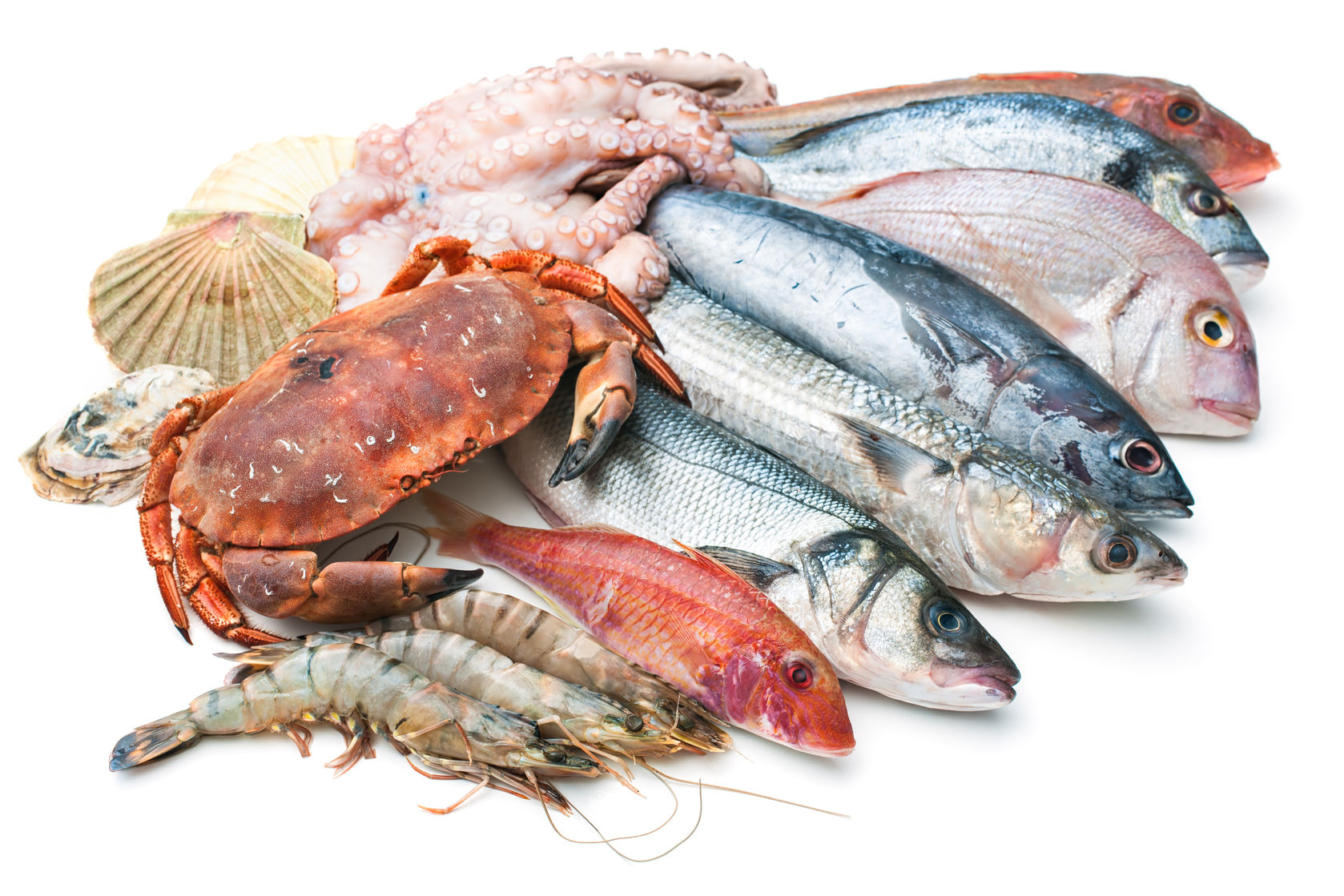 Fisch